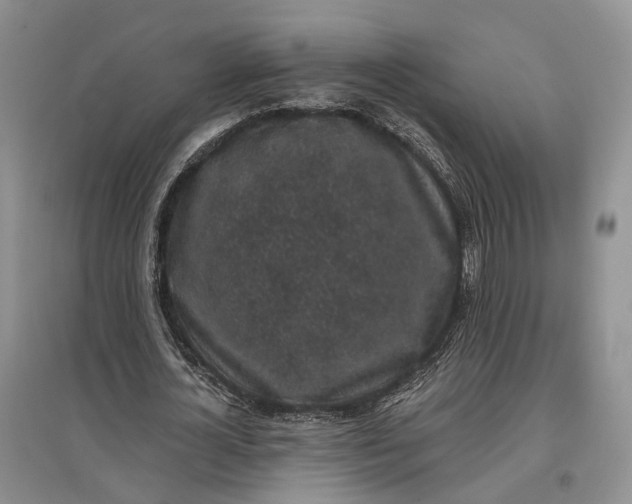 X0000097590724200803141854