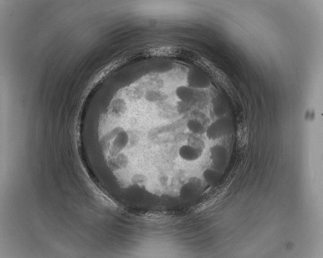 X0000097590725200803141854