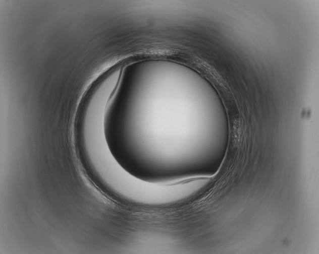 X0000097590726200803141854