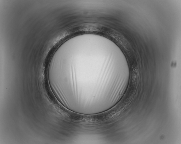 X0000097590727200803141854