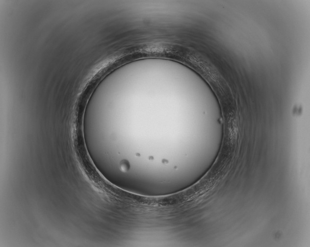 X0000097590728200803141854