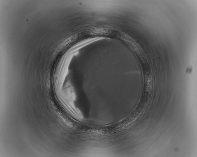 X0000097590729200803141854