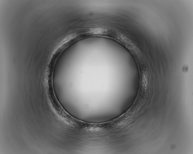 X0000097590730200803141854