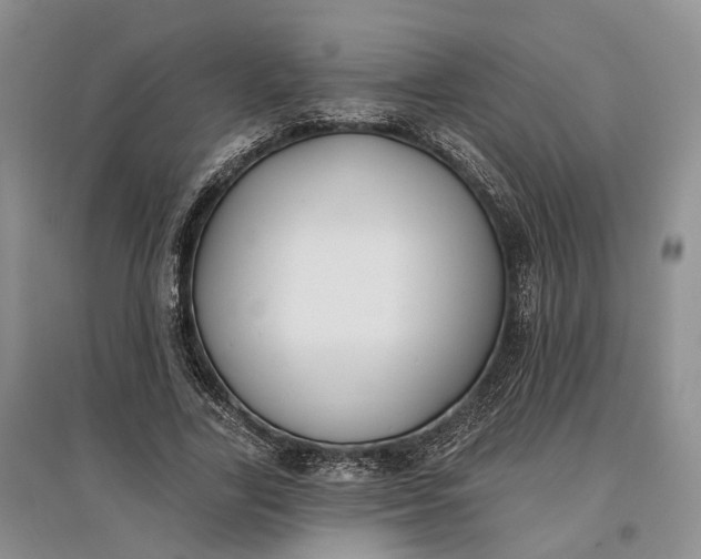 X0000097590731200803141854