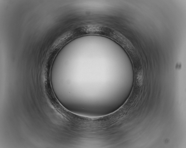 X0000097590732200803141854