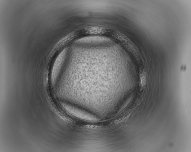 X0000097590733200803141854