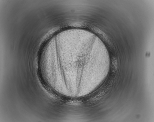 X0000097590734200803141854