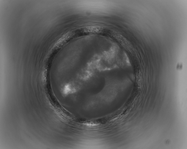 X0000097590735200803141854