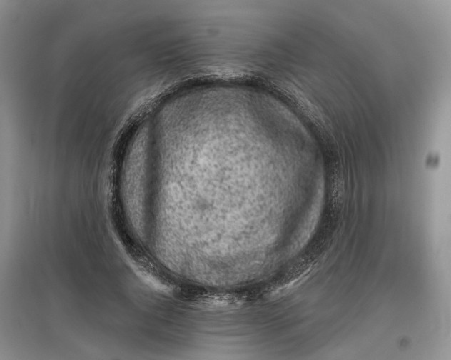 X0000097590736200803141854