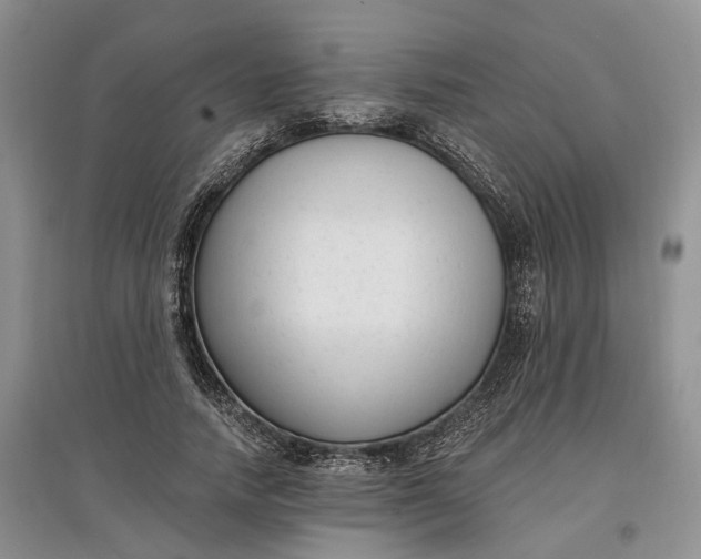 X0000097590738200803141854