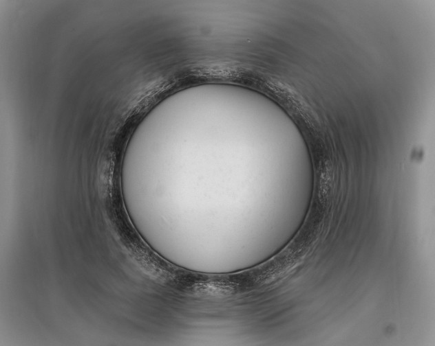 X0000097590739200803141854