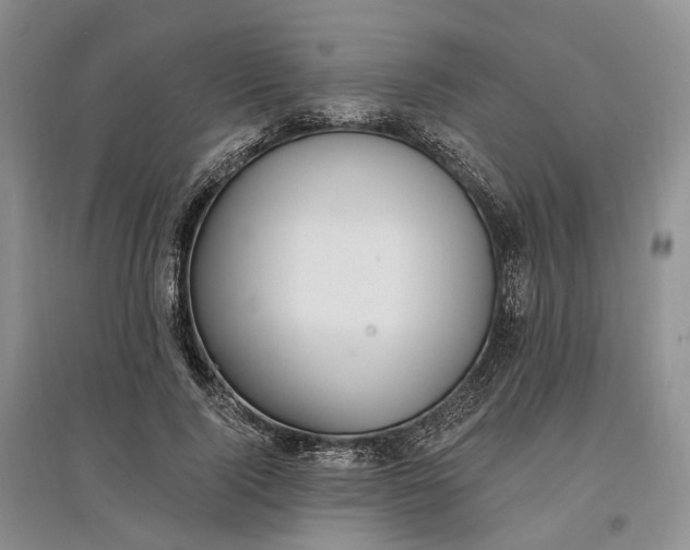 X0000097590740200803141854