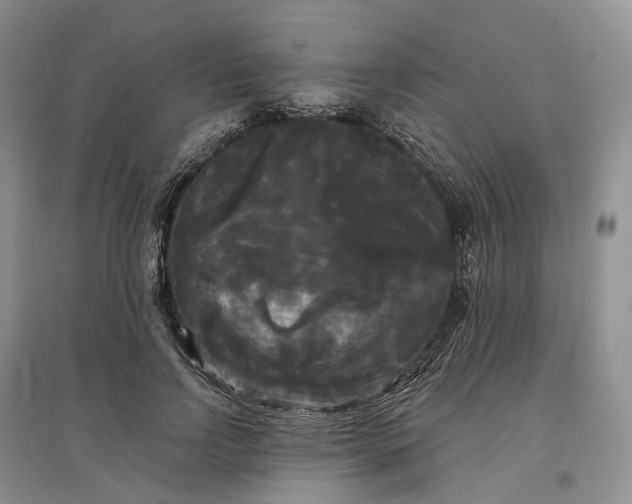 X0000097590742200803141854