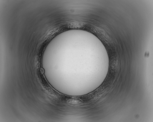 X0000097590743200803141854