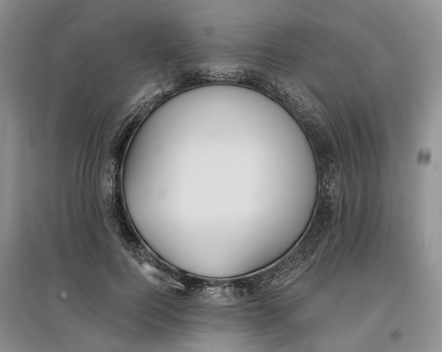 X0000097590744200803141854