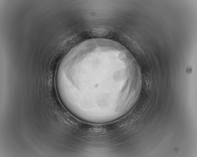 X0000097590745200803141854