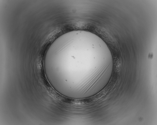 X0000097590746200803141854