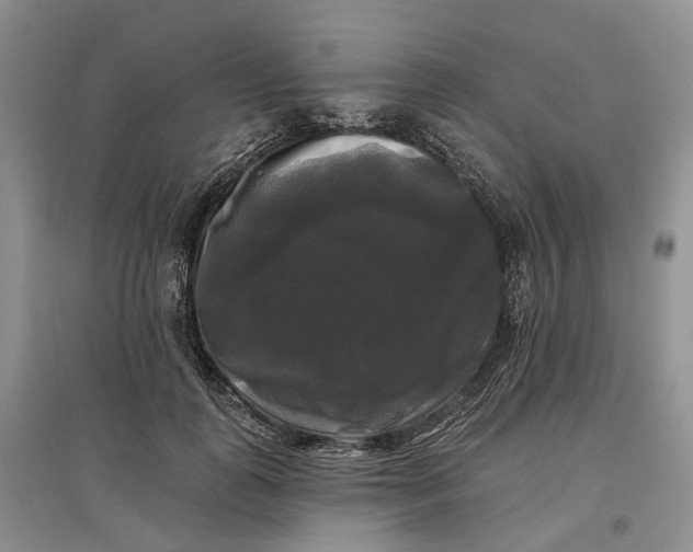 X0000097590747200803141854