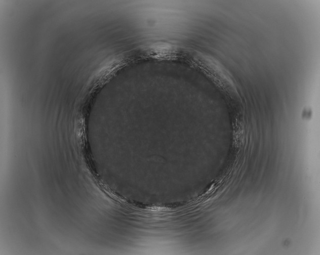 X0000097590748200803141854