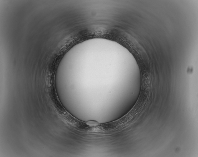 X0000097590750200803141854