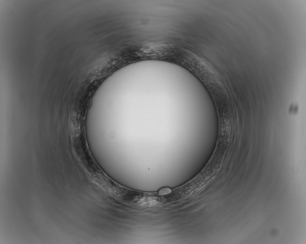 X0000097590751200803141854