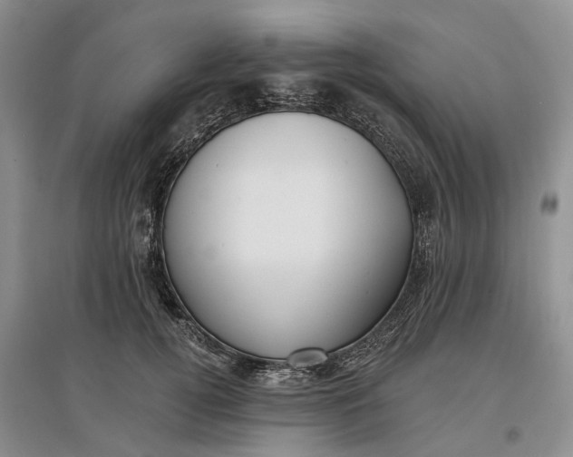 X0000097590752200803141854