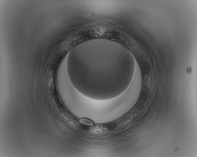 X0000097590754200803141854