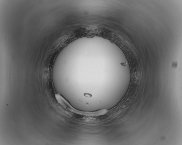 X0000097590756200803141854