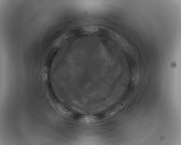 X0000097590758200803141854