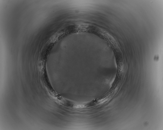 X0000097590759200803141854