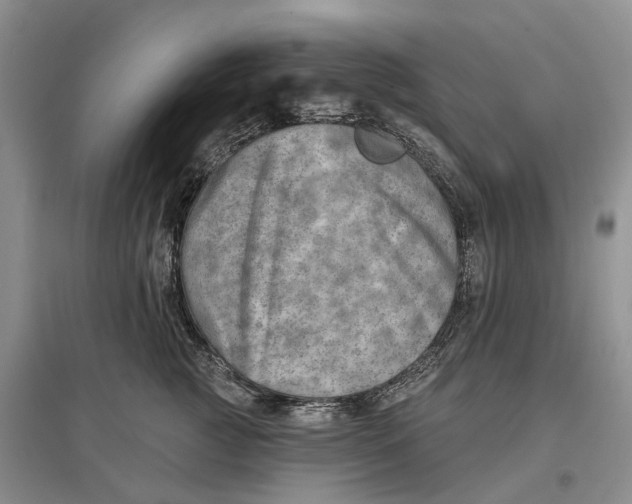 X0000097590761200803141854