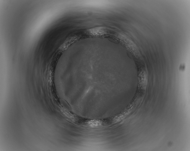 X0000097590762200803141854