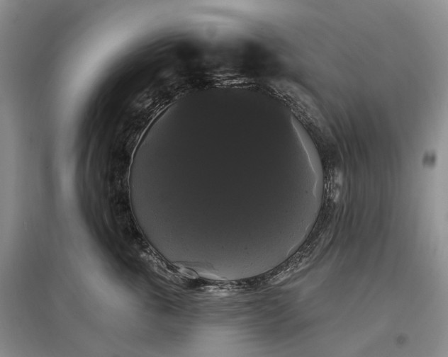 X0000097590763200803141854