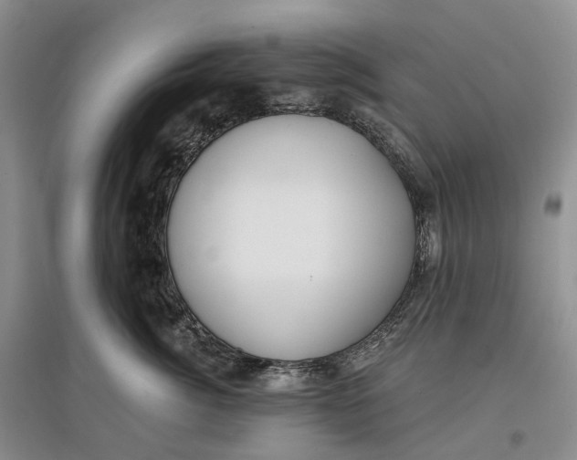 X0000097590764200803141854