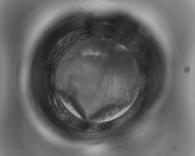 X0000097590765200803141854