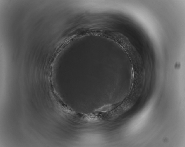 X0000097590767200803141854