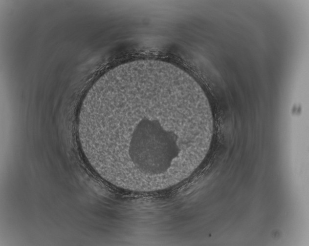 X0000097590769200803141854