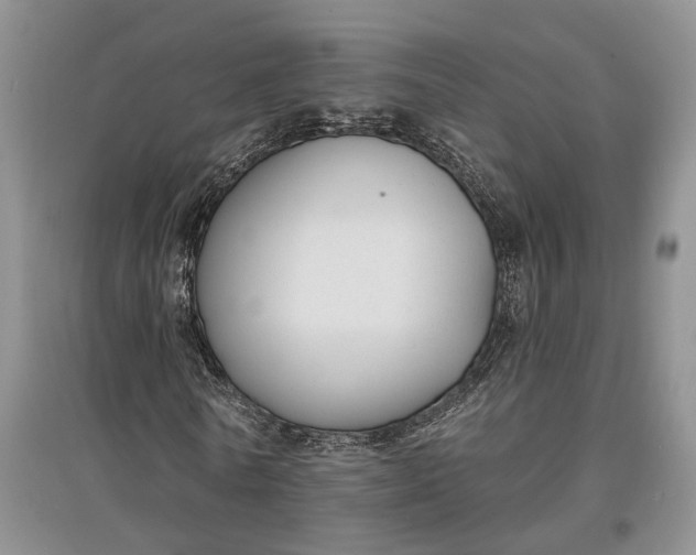 X0000097590770200803141854