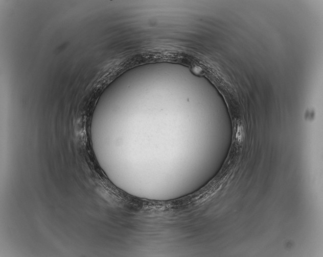 X0000097590771200803141854