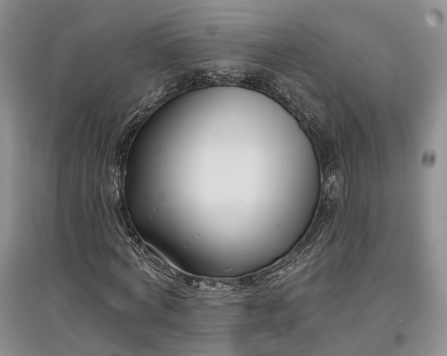 X0000097590772200803141854