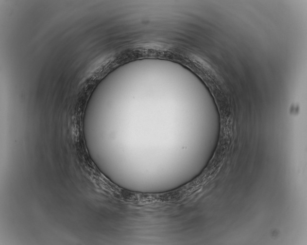 X0000097590774200803141854