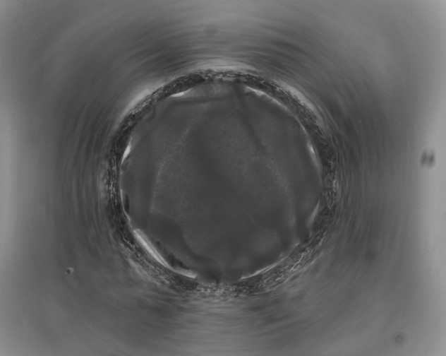 X0000097590775200803141854