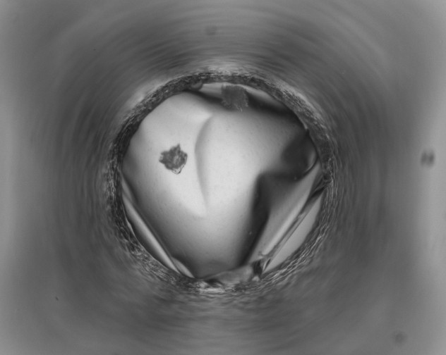 X0000097590776200803141854