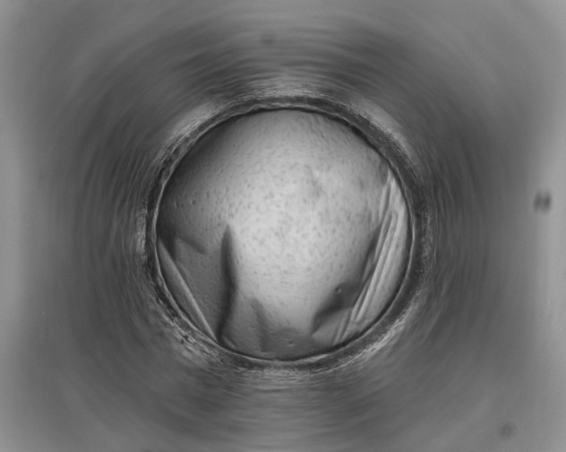 X0000097590777200803141854