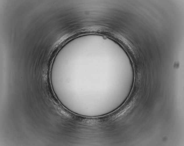 X0000097590778200803141854