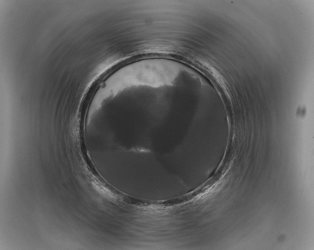 X0000097590779200803141854