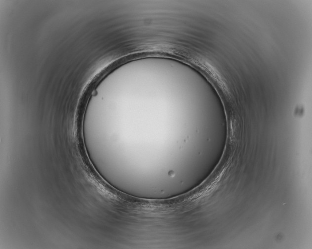 X0000097590780200803141854