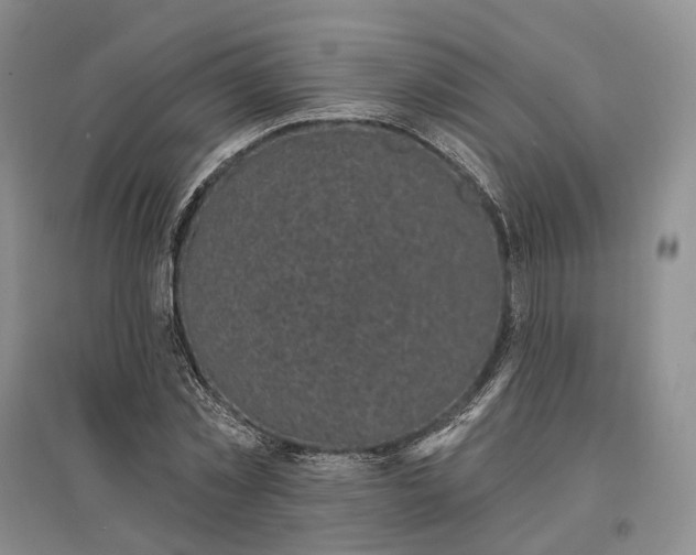 X0000097590781200803141854