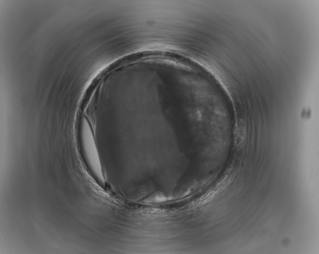 X0000097590783200803141854