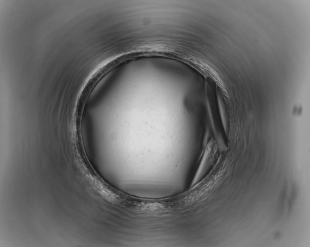 X0000097590784200803141854